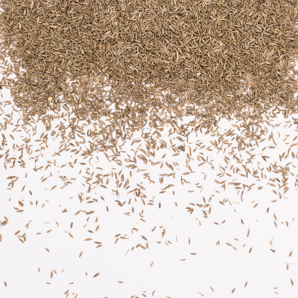 Semilla pequeña y ovalada.