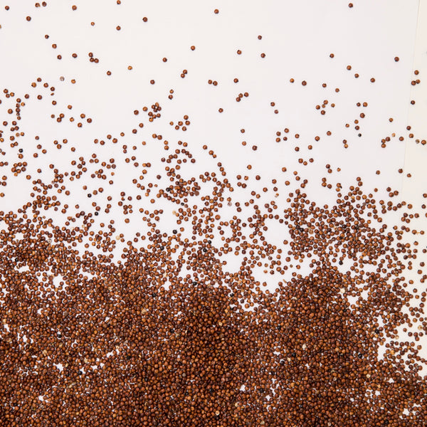 Pequeñas bolas de color rojo.