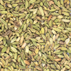 CARDAMOM POD