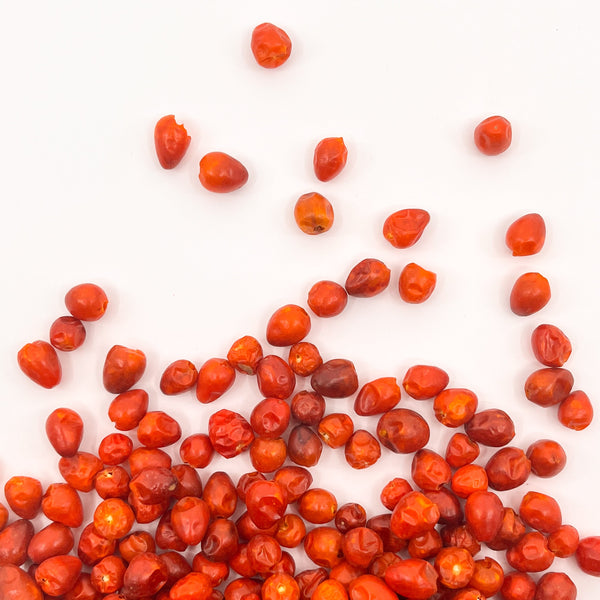 CHILTEPIN CHILE