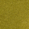 EUCALYPTUS