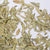 Hoja de tamaño mediano, forma ovalada y de color verde.