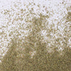 Hoja verde seca